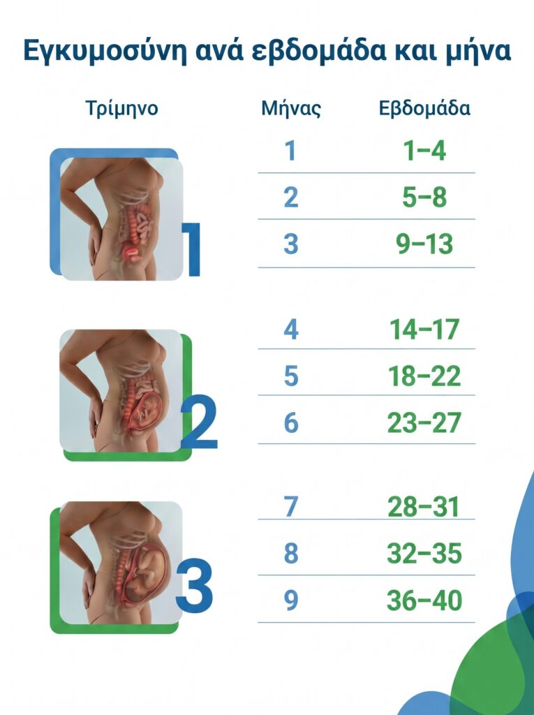 Εγκυμοσυνη ανα εβδομαδα και μηνα
